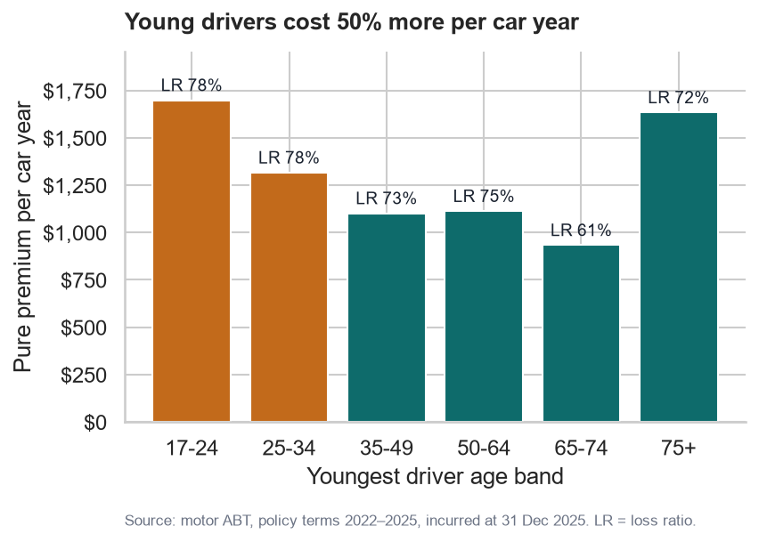 Formatted bar chart titled 'Young drivers cost 50% more per car year' with dollar axis, loss-ratio labels on each bar, highlighted young age bands, and a source note